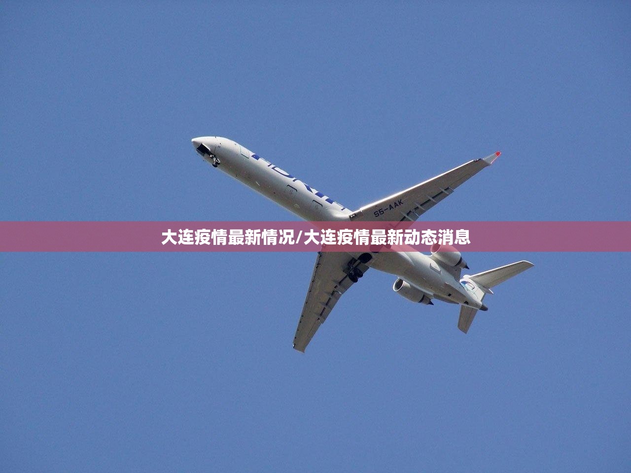 大连疫情最新情况/大连疫情最新动态消息