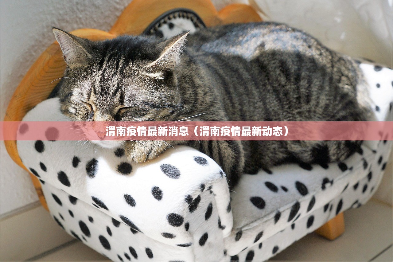 渭南疫情最新消息（渭南疫情最新动态）
