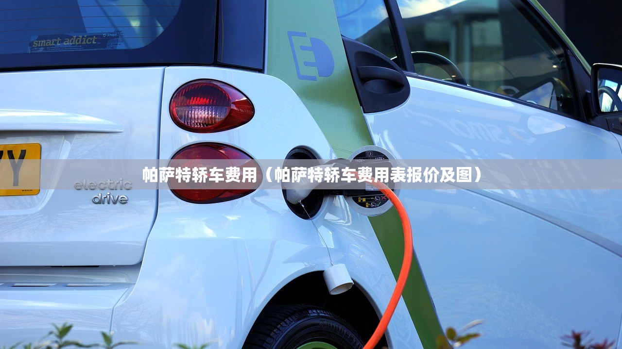 帕萨特轿车费用（帕萨特轿车费用表报价及图）