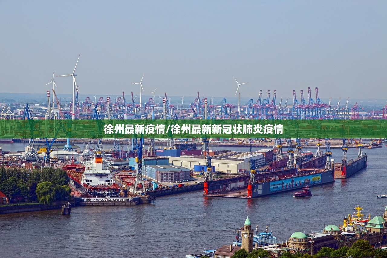 徐州最新疫情/徐州最新新冠状肺炎疫情