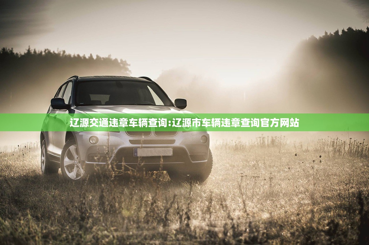 辽源交通违章车辆查询:辽源市车辆违章查询官方网站