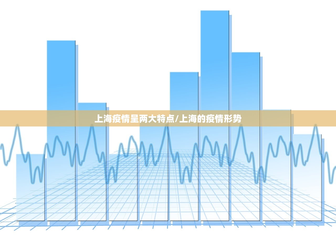 上海疫情呈两大特点/上海的疫情形势