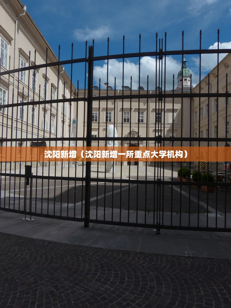 沈阳新增（沈阳新增一所重点大学机构）