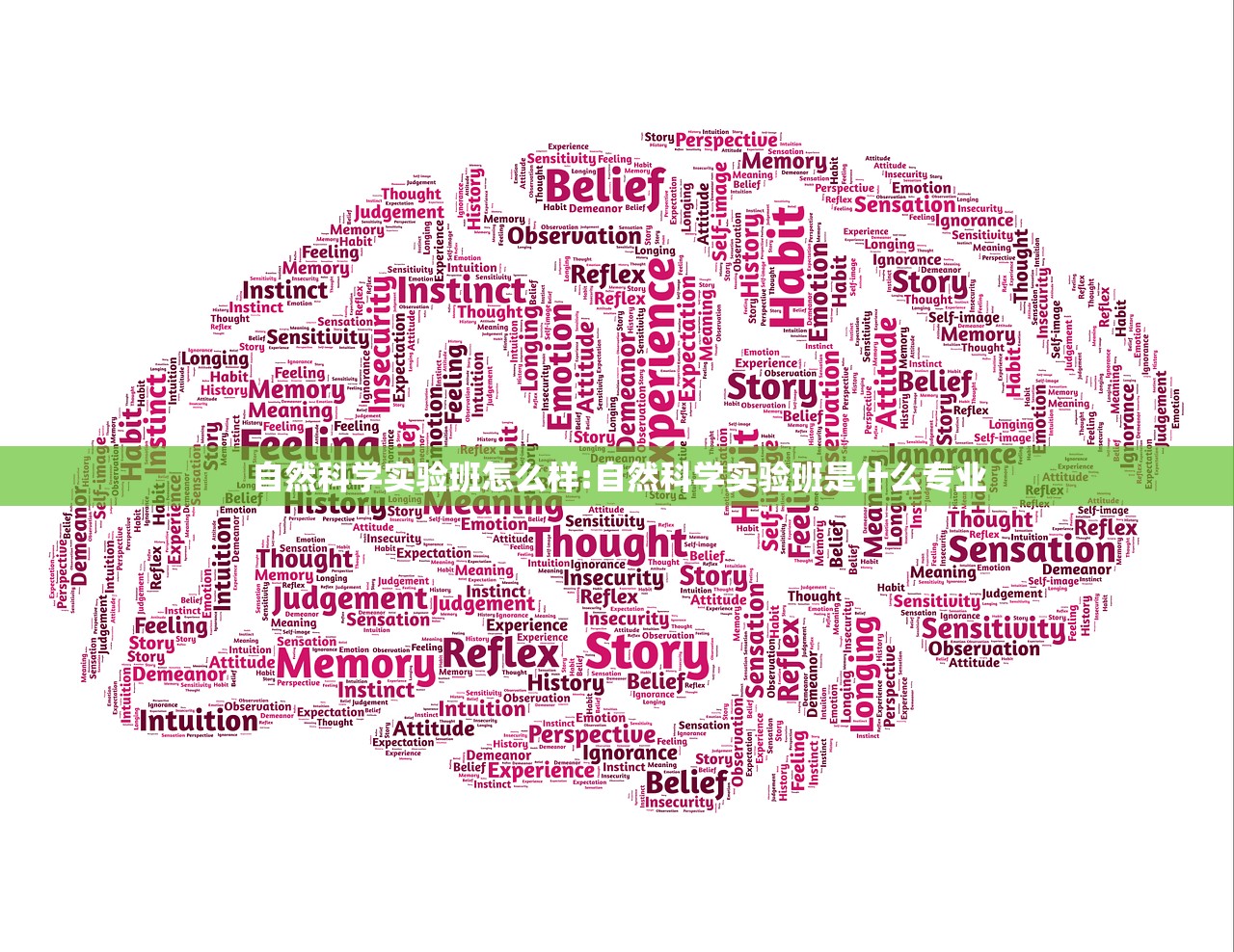 自然科学实验班怎么样:自然科学实验班是什么专业