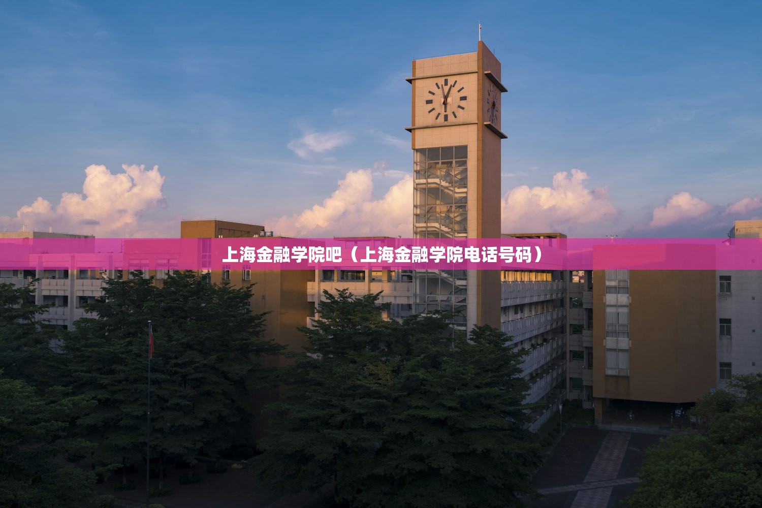 31省新增境外17例（31省新增境外输入确诊19例）