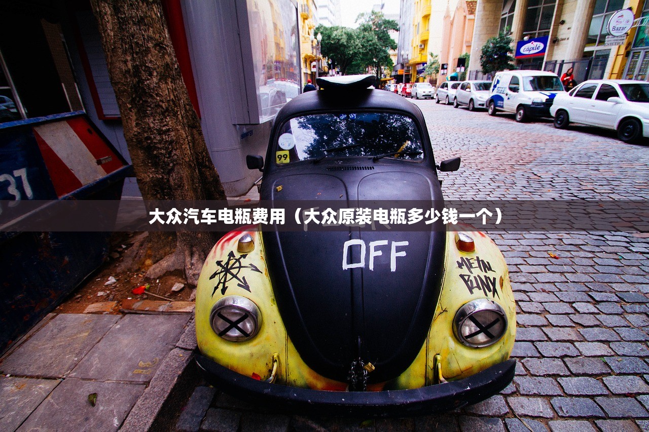 大众汽车电瓶费用（大众原装电瓶多少钱一个）