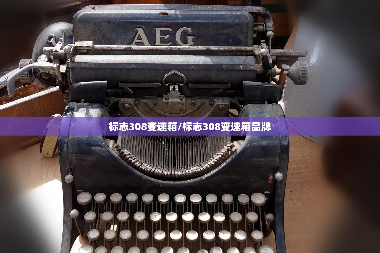标志308变速箱/标志308变速箱品牌