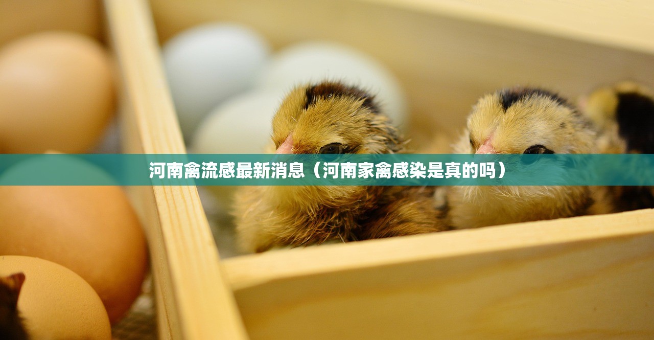 河南禽流感最新消息（河南家禽感染是真的吗）
