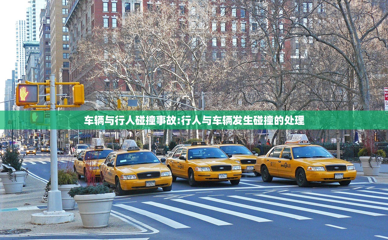 车辆与行人碰撞事故:行人与车辆发生碰撞的处理