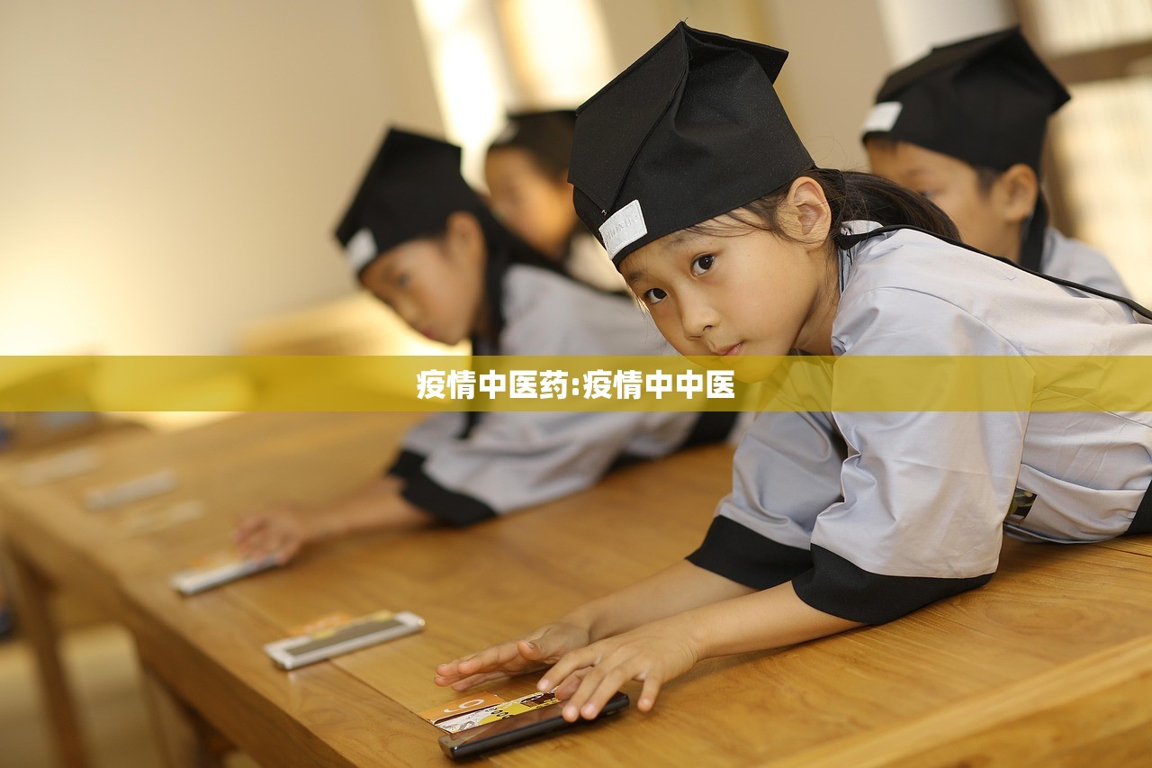 疫情中医药:疫情中中医