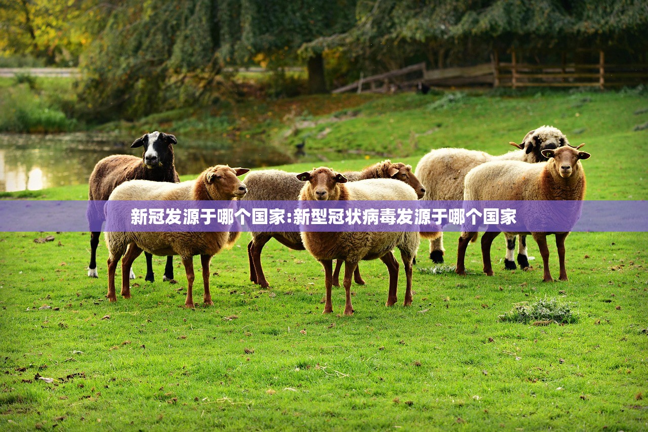 新冠发源于哪个国家:新型冠状病毒发源于哪个国家