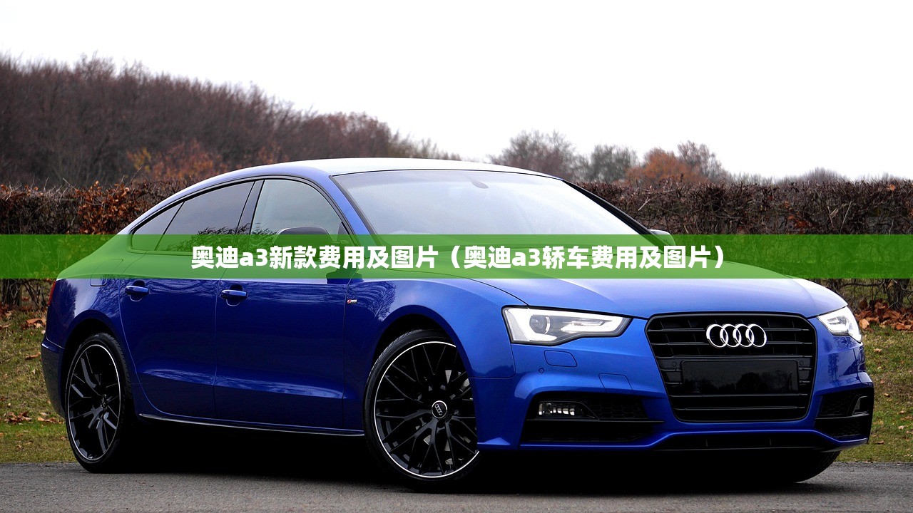 奥迪a3新款费用及图片（奥迪a3轿车费用及图片）