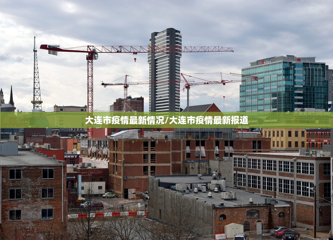 大连市疫情最新情况/大连市疫情最新报道