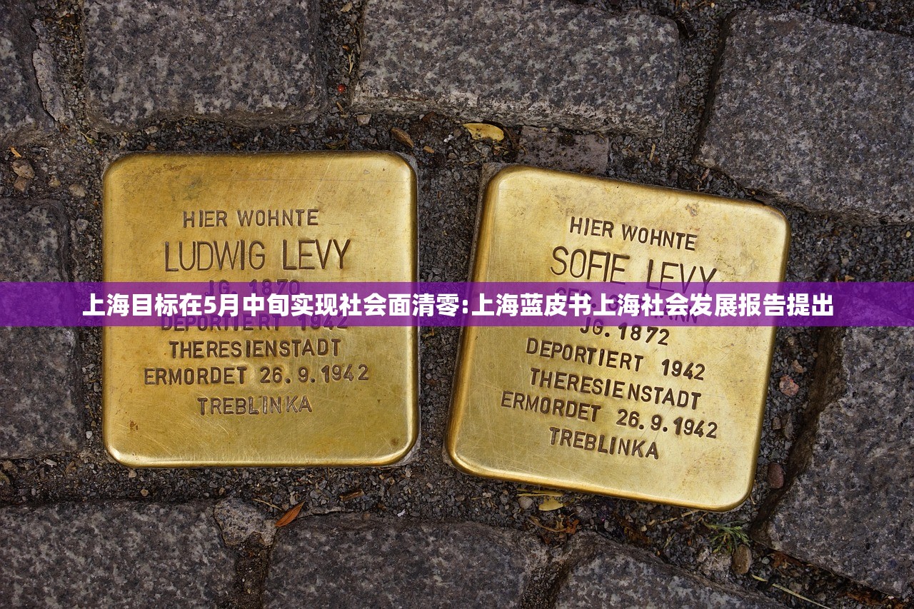 上海目标在5月中旬实现社会面清零:上海蓝皮书上海社会发展报告提出