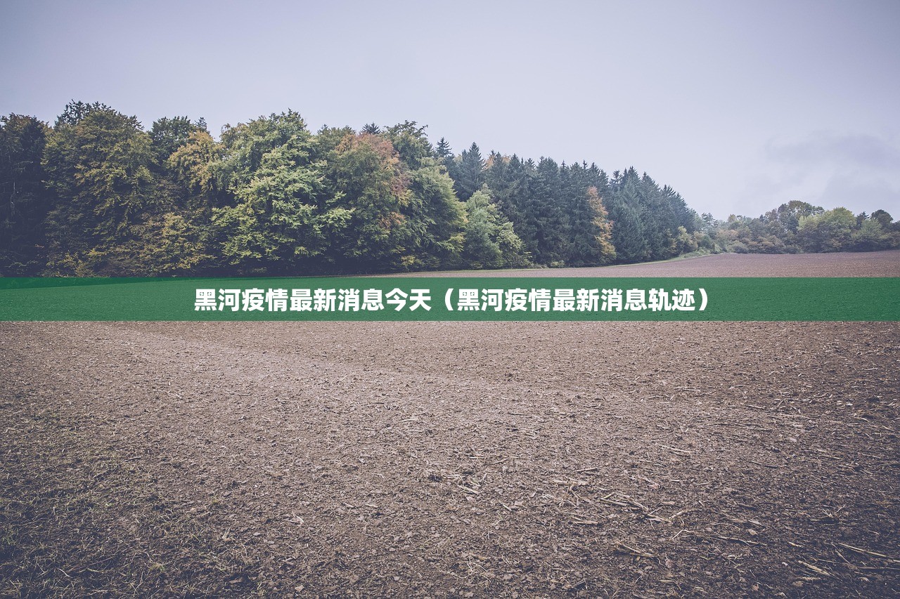 黑河疫情最新消息今天（黑河疫情最新消息轨迹）