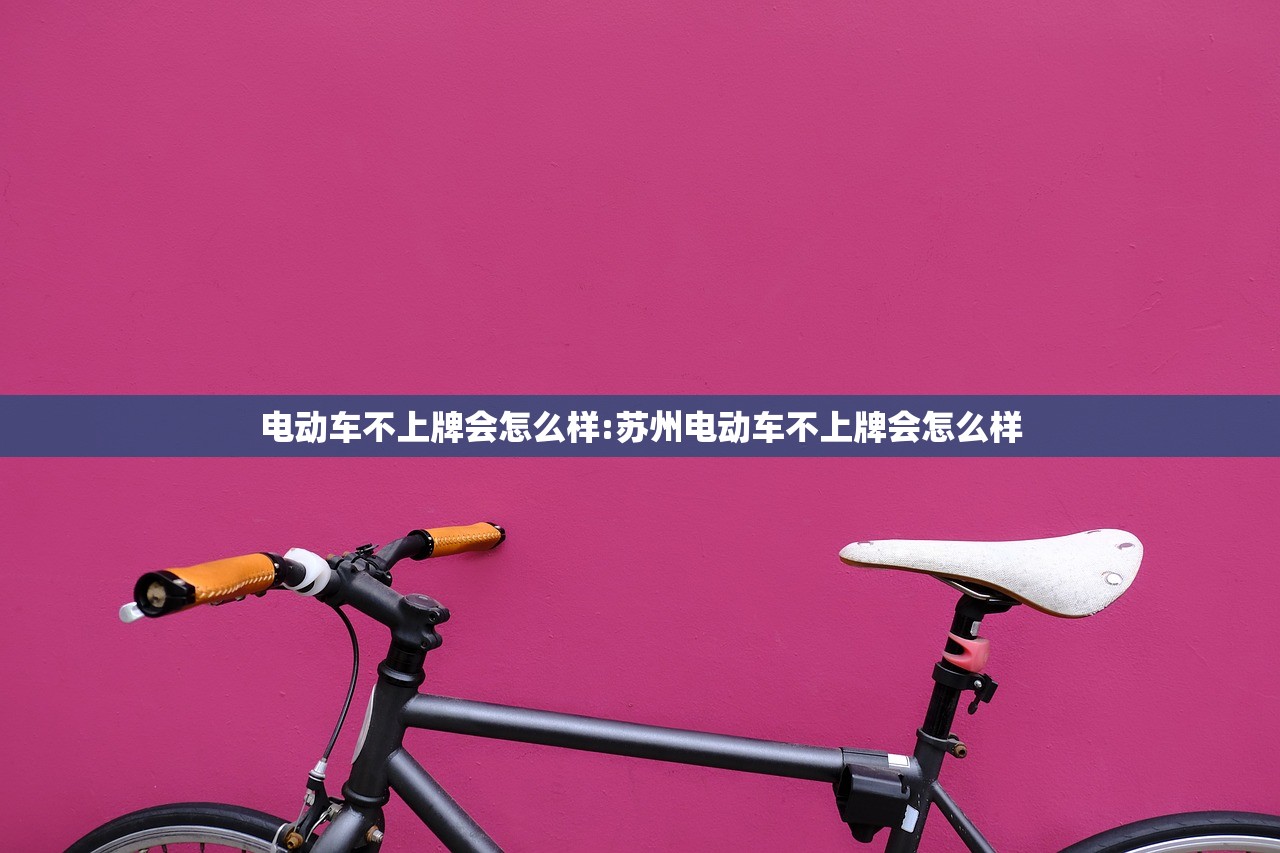 电动车不上牌会怎么样:苏州电动车不上牌会怎么样