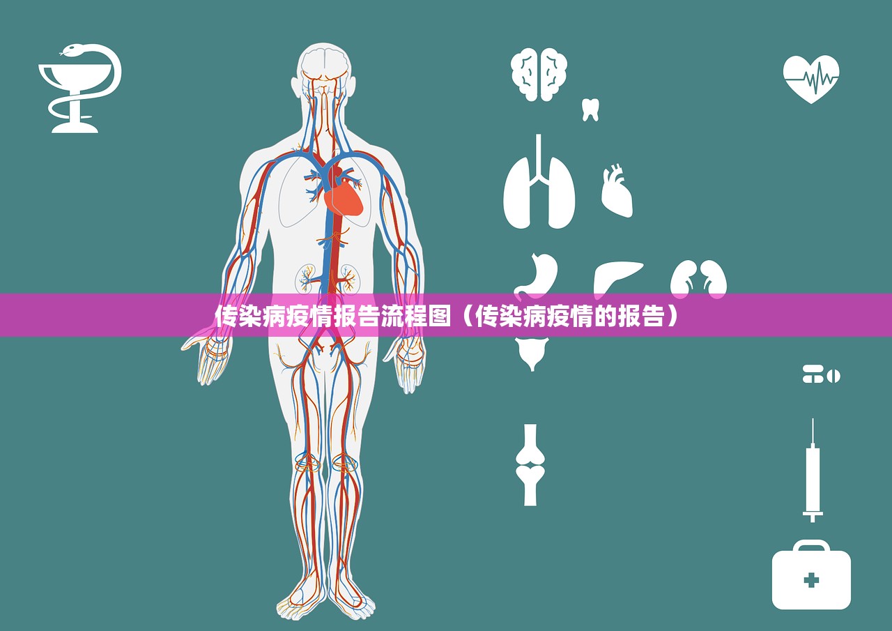 传染病疫情报告流程图（传染病疫情的报告）