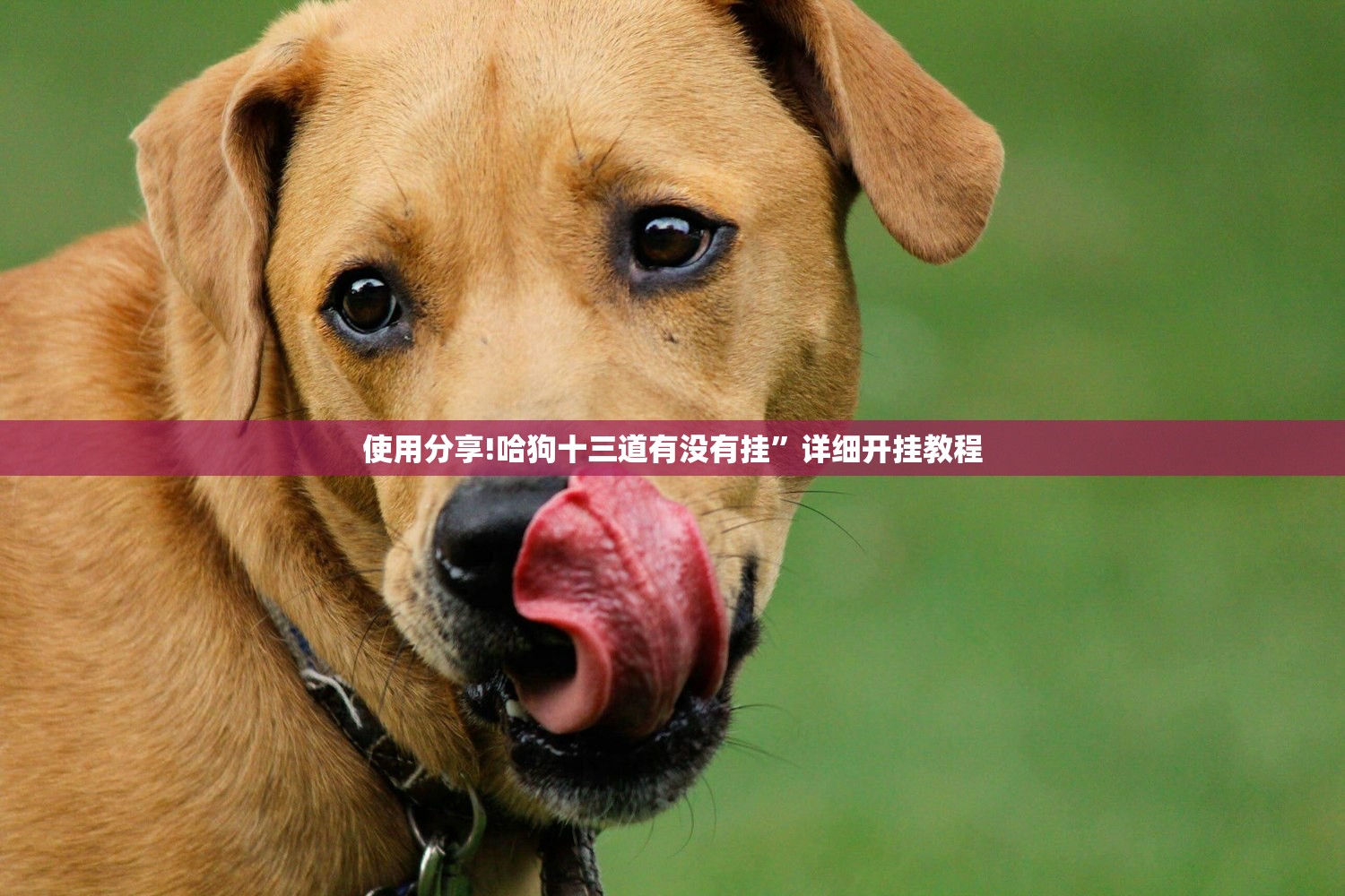 使用分享!海商互娱可以开挂吗”开挂(透视)最新辅助详细