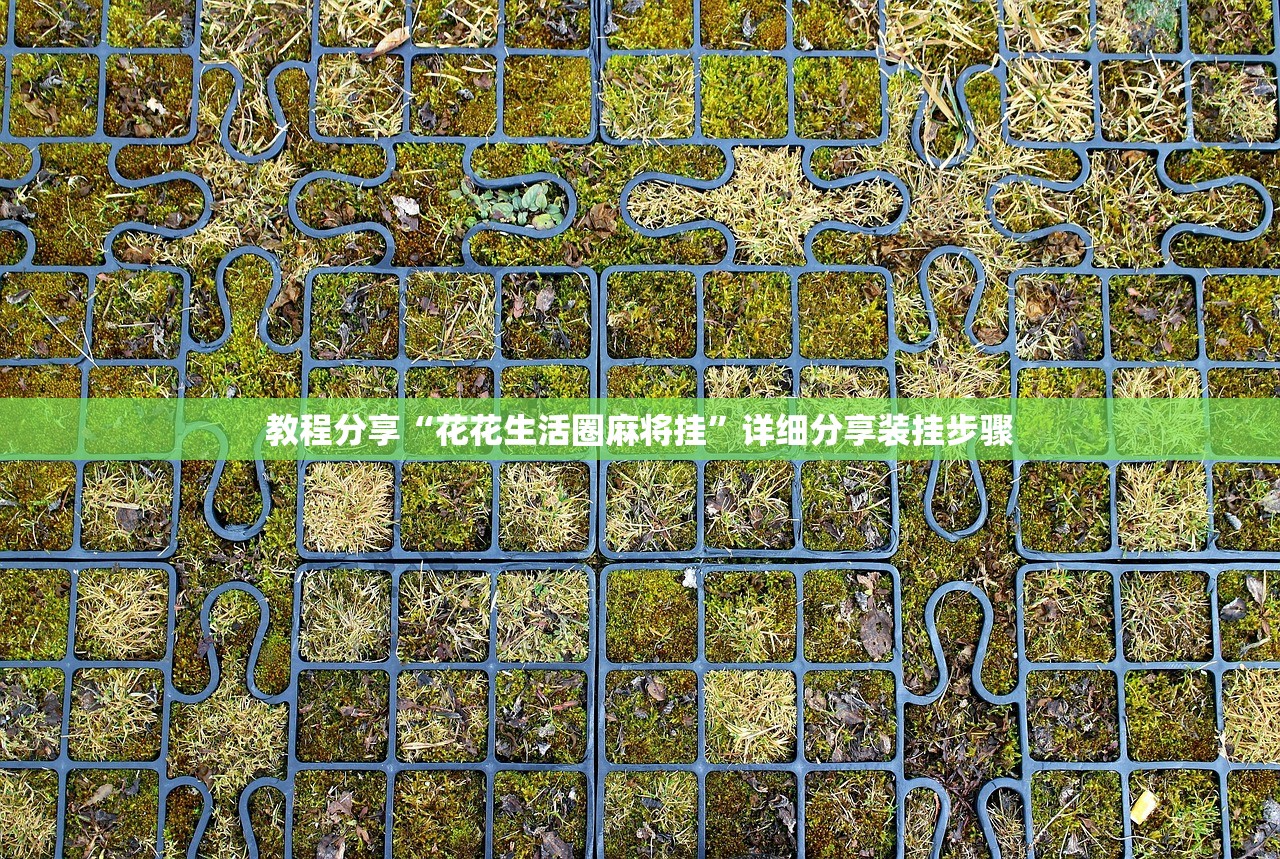 教程分享“花花生活圈麻将挂”详细分享装挂步骤