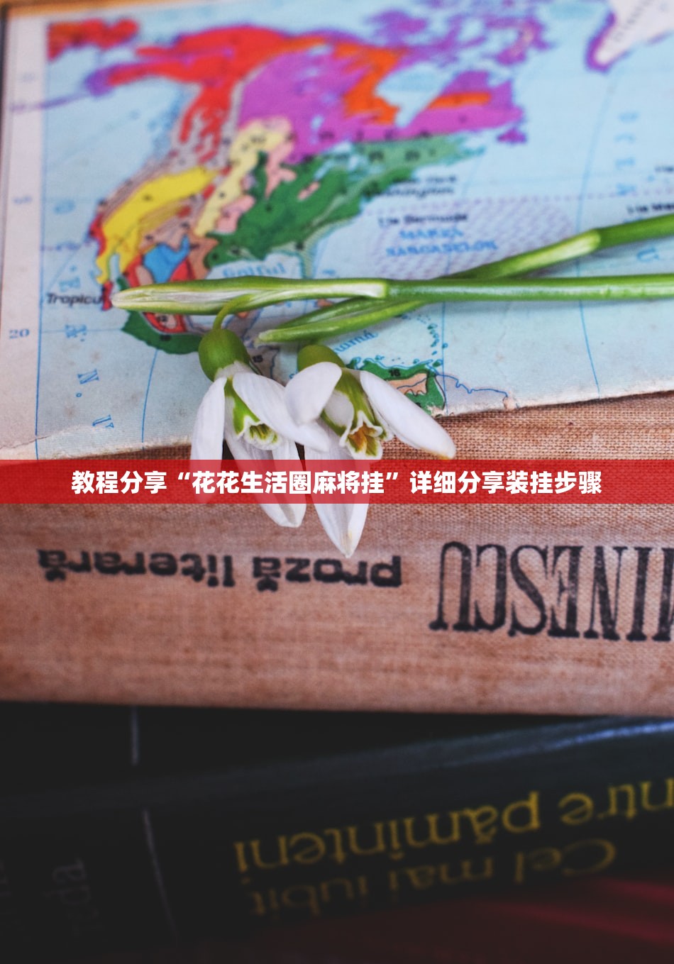 教程分享“花花生活圈麻将挂	”详细分享装挂步骤