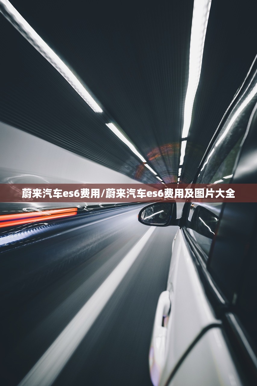 蔚来汽车es6费用/蔚来汽车es6费用及图片大全