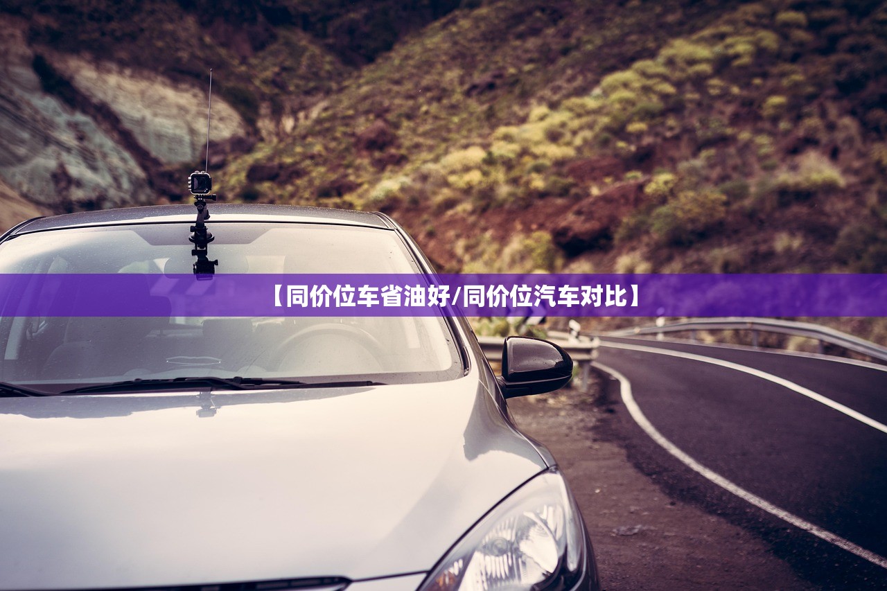 【同价位车省油好/同价位汽车对比】