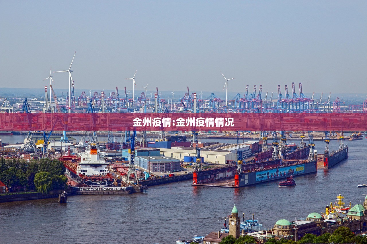 金州疫情:金州疫情情况
