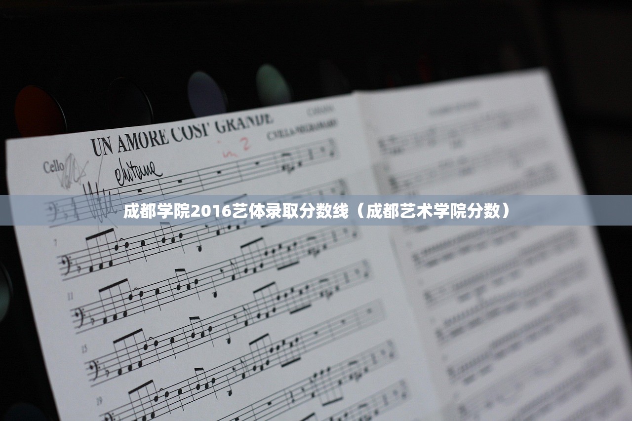成都学院2016艺体录取分数线（成都艺术学院分数）