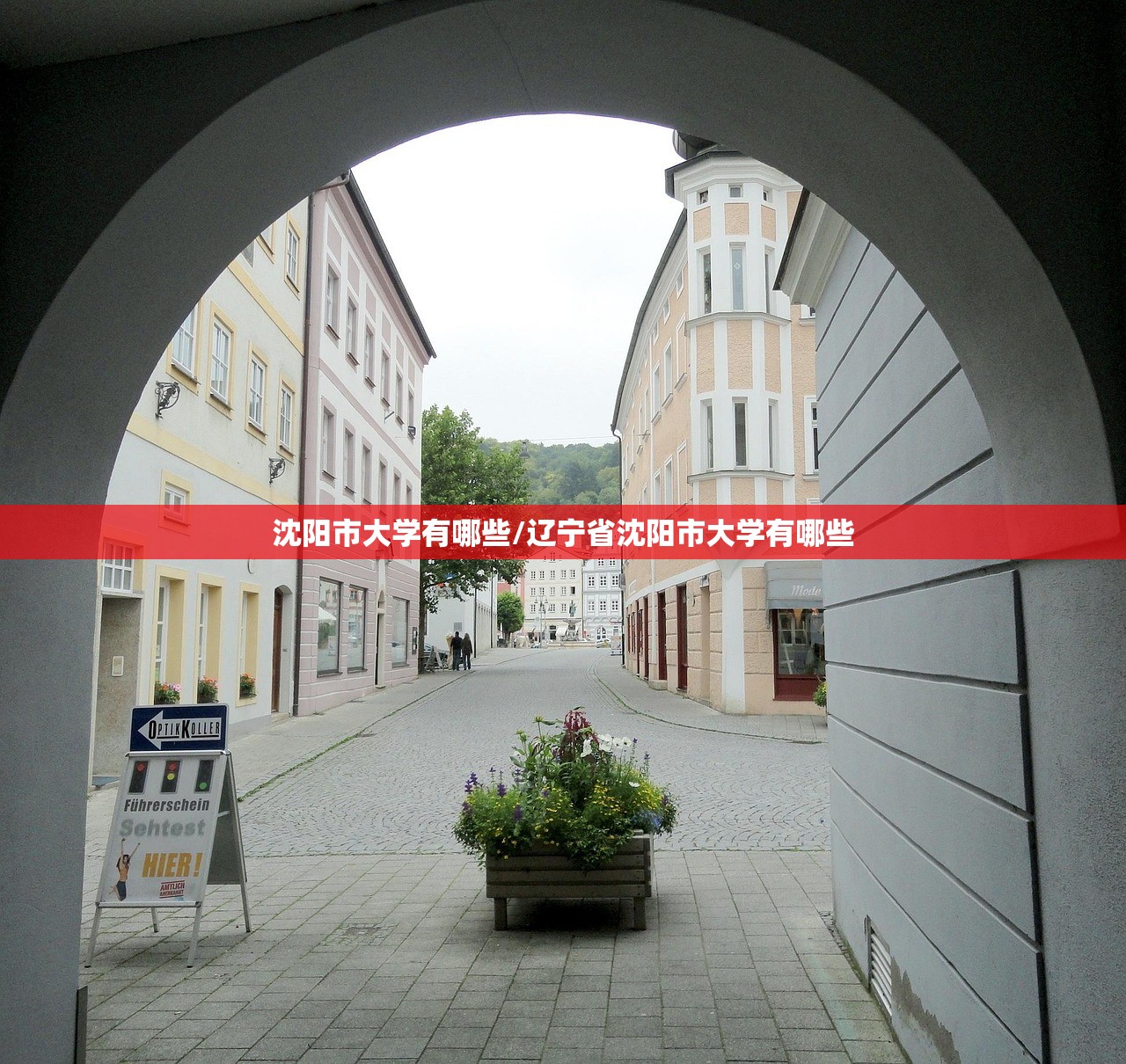 沈阳市大学有哪些/辽宁省沈阳市大学有哪些
