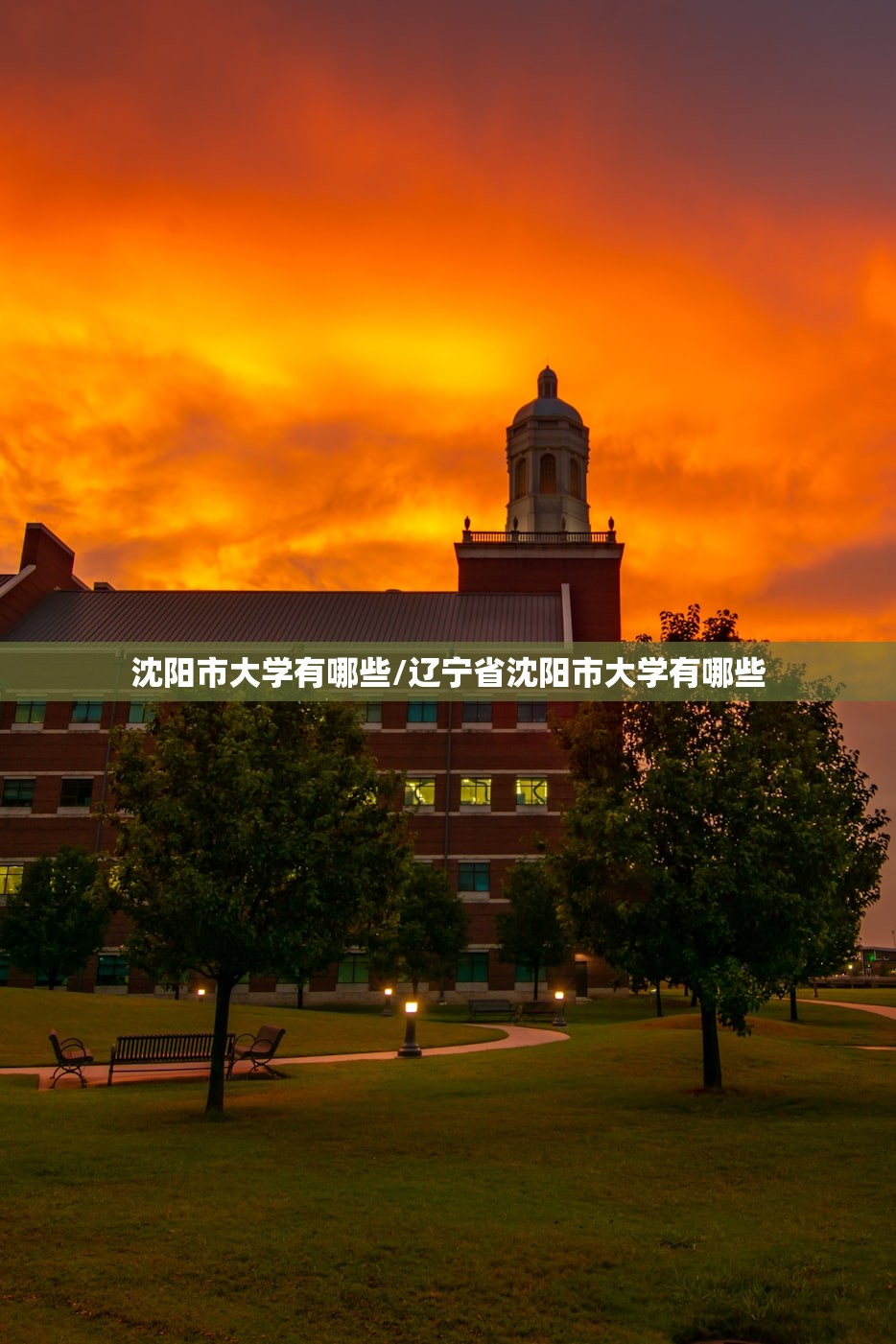 沈阳市大学有哪些/辽宁省沈阳市大学有哪些