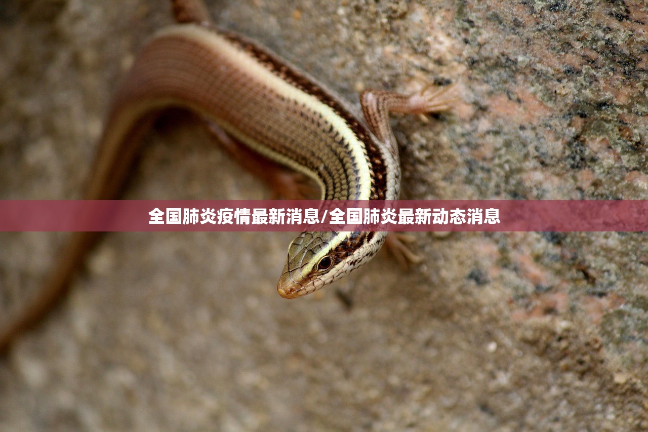 全国肺炎疫情最新消息/全国肺炎最新动态消息