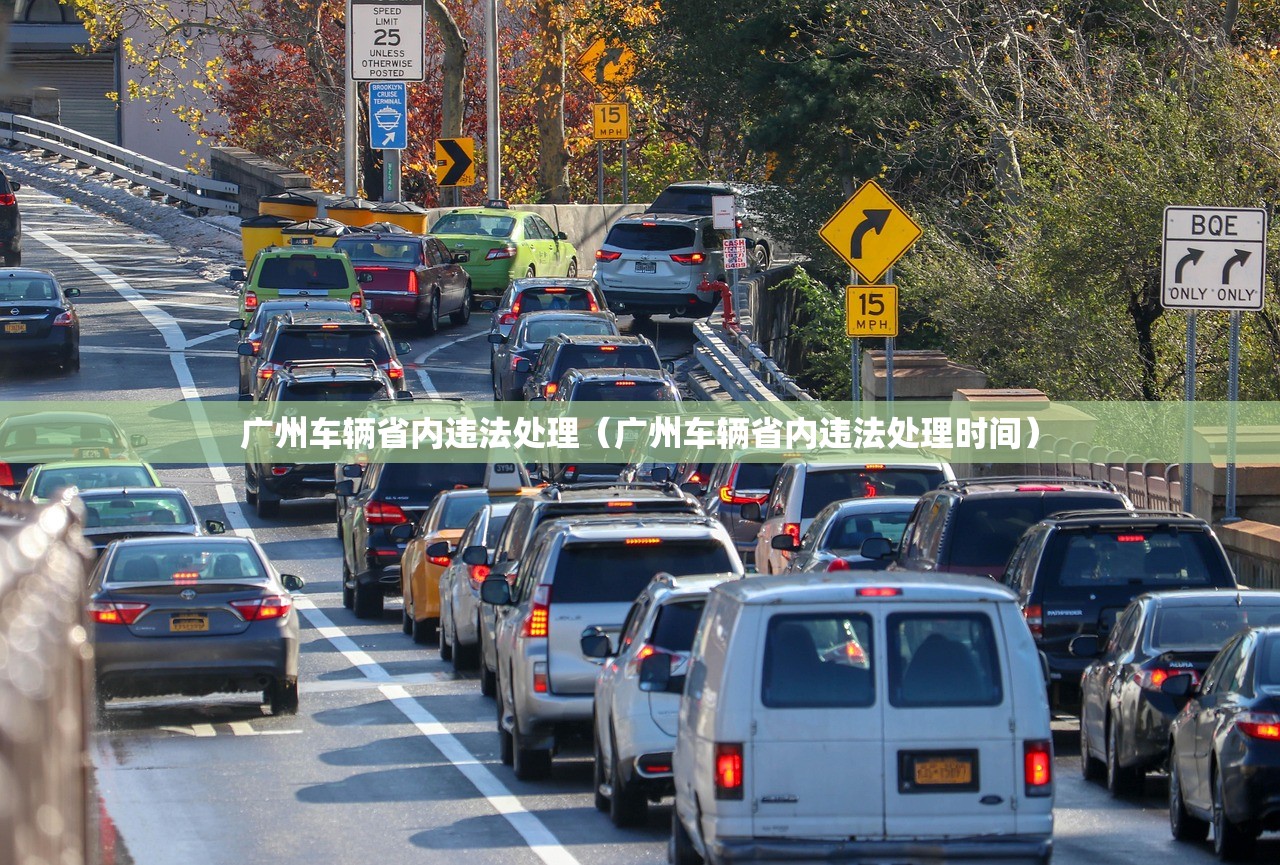 广州车辆省内违法处理（广州车辆省内违法处理时间）