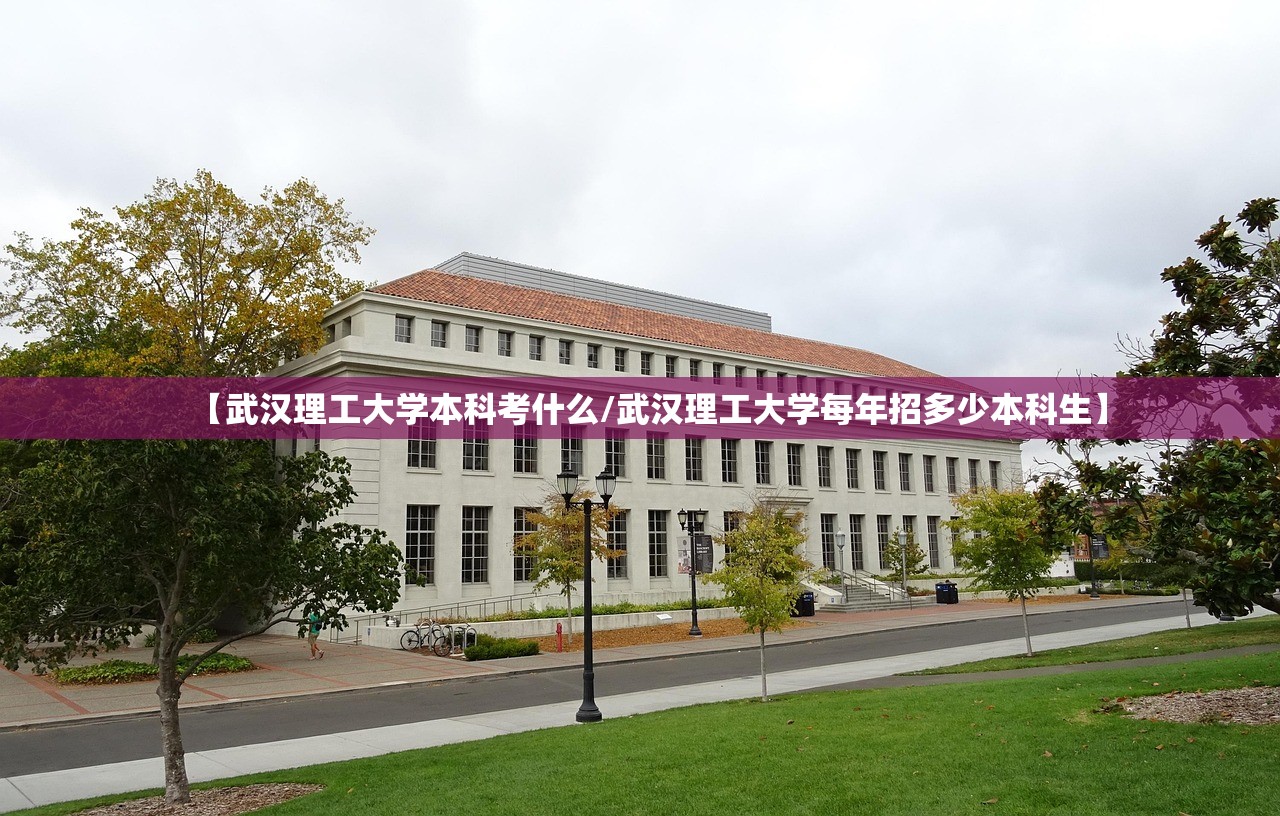 【武汉理工大学本科考什么/武汉理工大学每年招多少本科生】