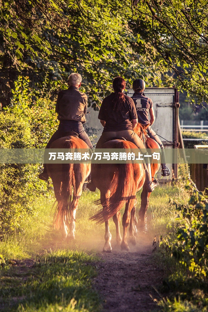 31省份新增本土确诊40例广西30例/新增确诊病例 广西
