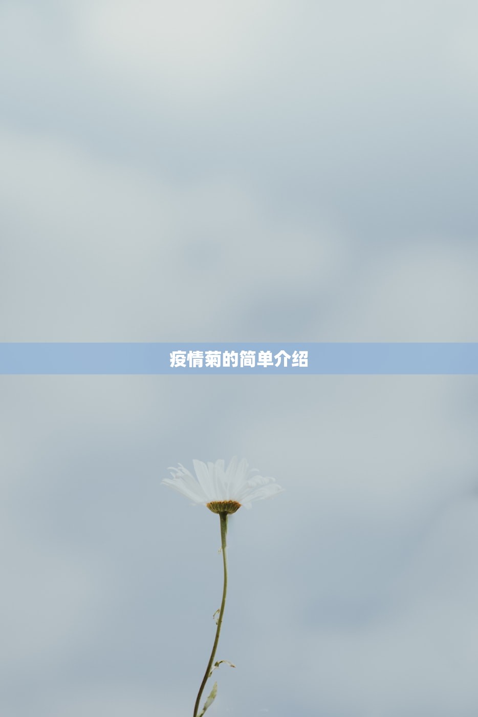 郑州高铁站多名工作人员感染:郑州高铁站新型肺炎