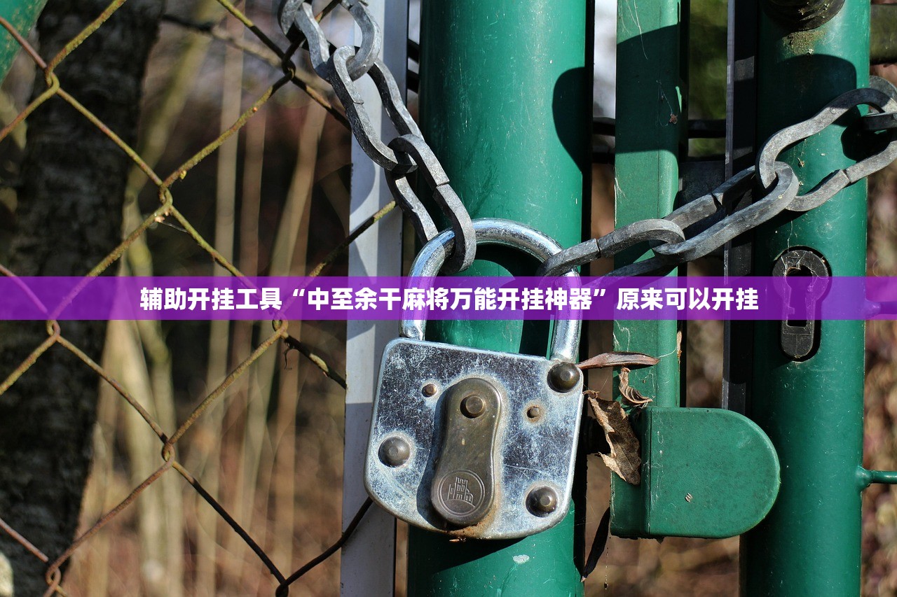 辅助开挂工具“中至余干麻将万能开挂神器”原来可以开挂