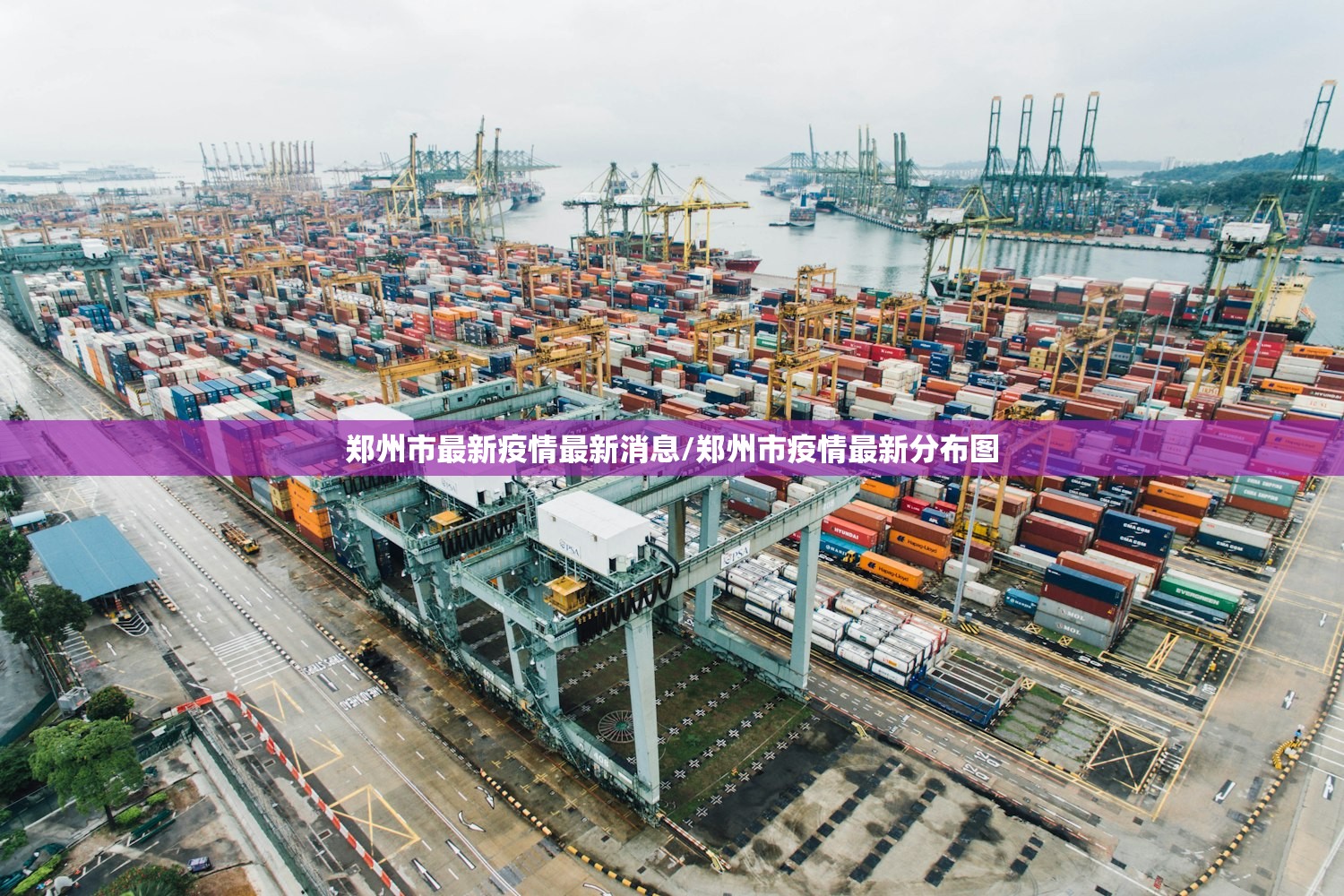 郑州市最新疫情最新消息/郑州市疫情最新分布图