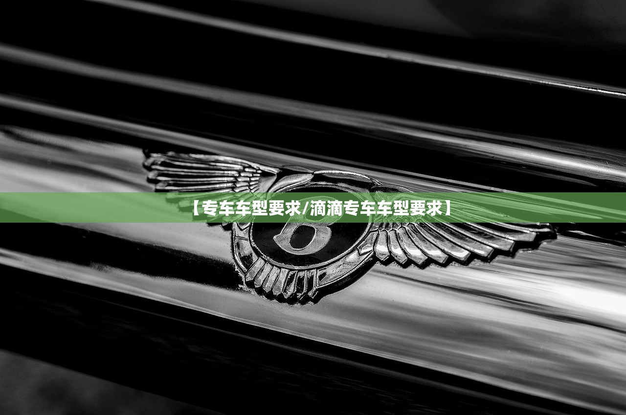 【专车车型要求/滴滴专车车型要求】