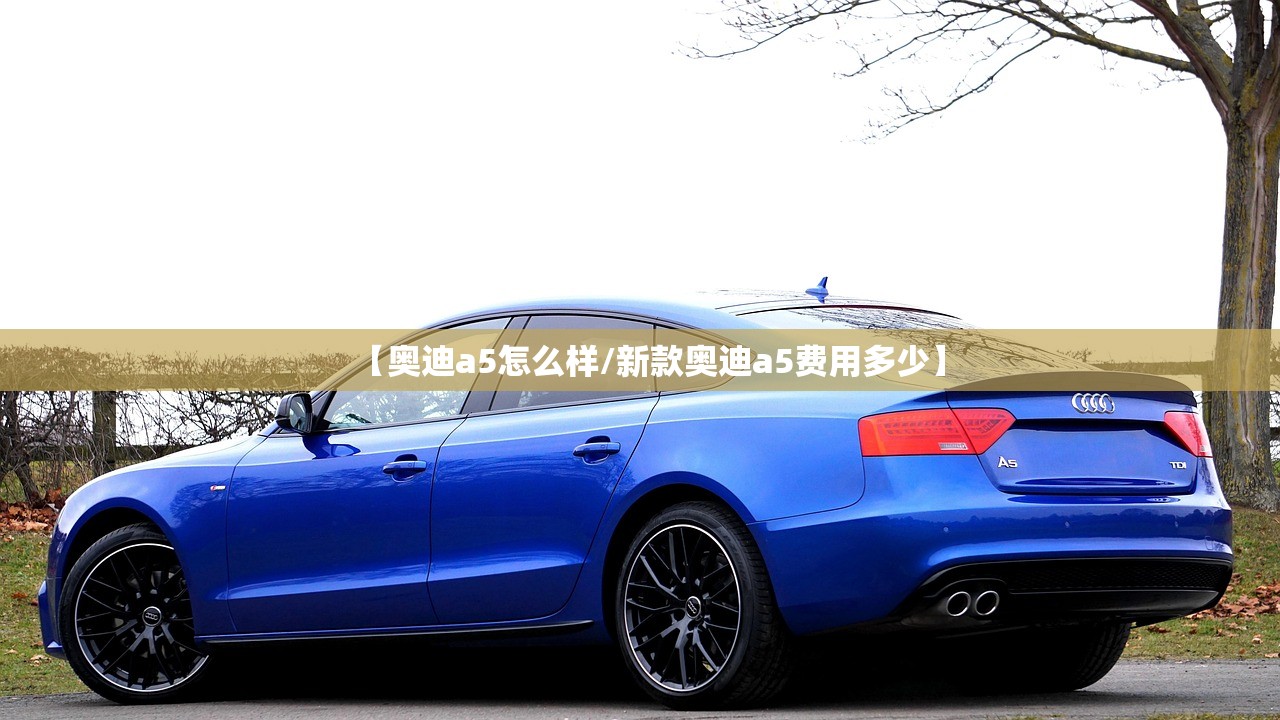 【奥迪a5怎么样/新款奥迪a5费用多少】