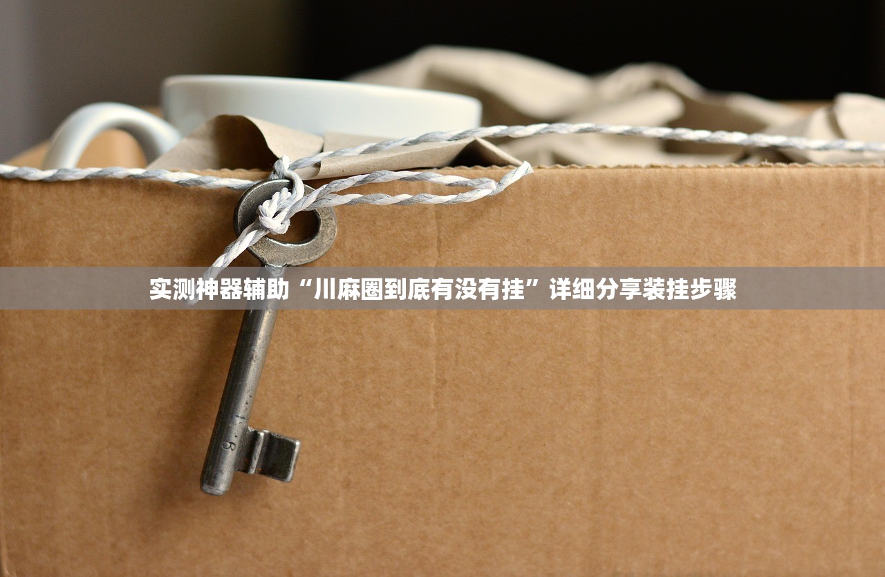 实测神器辅助“川麻圈到底有没有挂”详细分享装挂步骤