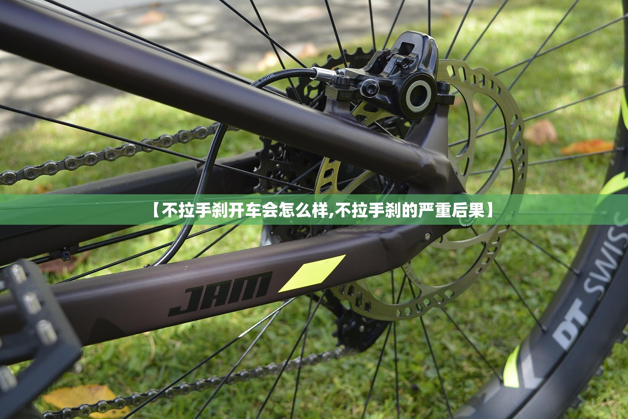 哪个大学最开放（哪个大学对外开放）