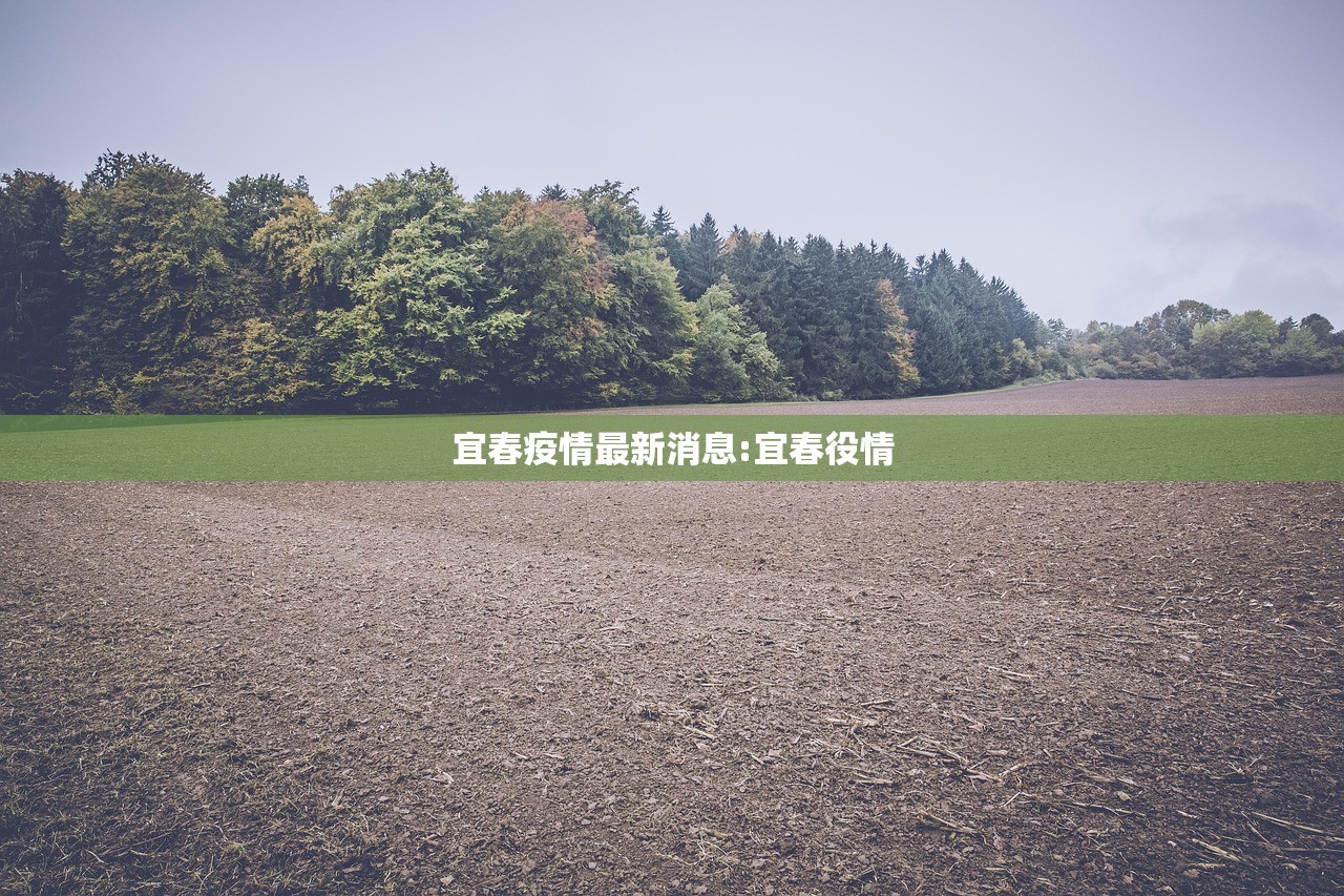 宜春疫情最新消息:宜春役情