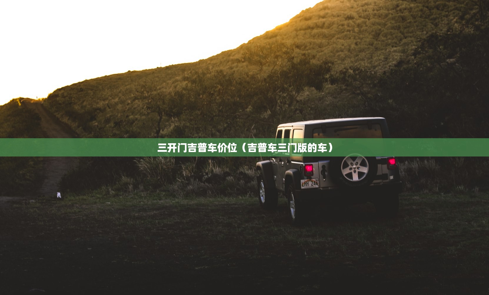 三开门吉普车价位（吉普车三门版的车）