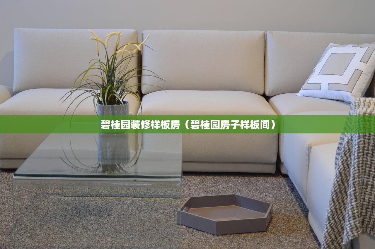 碧桂园装修样板房（碧桂园房子样板间）