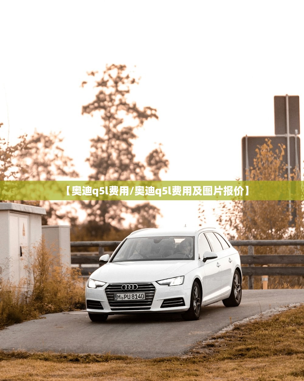 【奥迪q5l费用/奥迪q5l费用及图片报价】