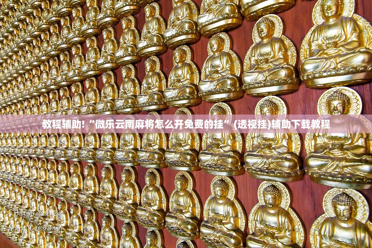 教程辅助!“微乐云南麻将怎么开免费的挂”(透视挂)辅助下载教程