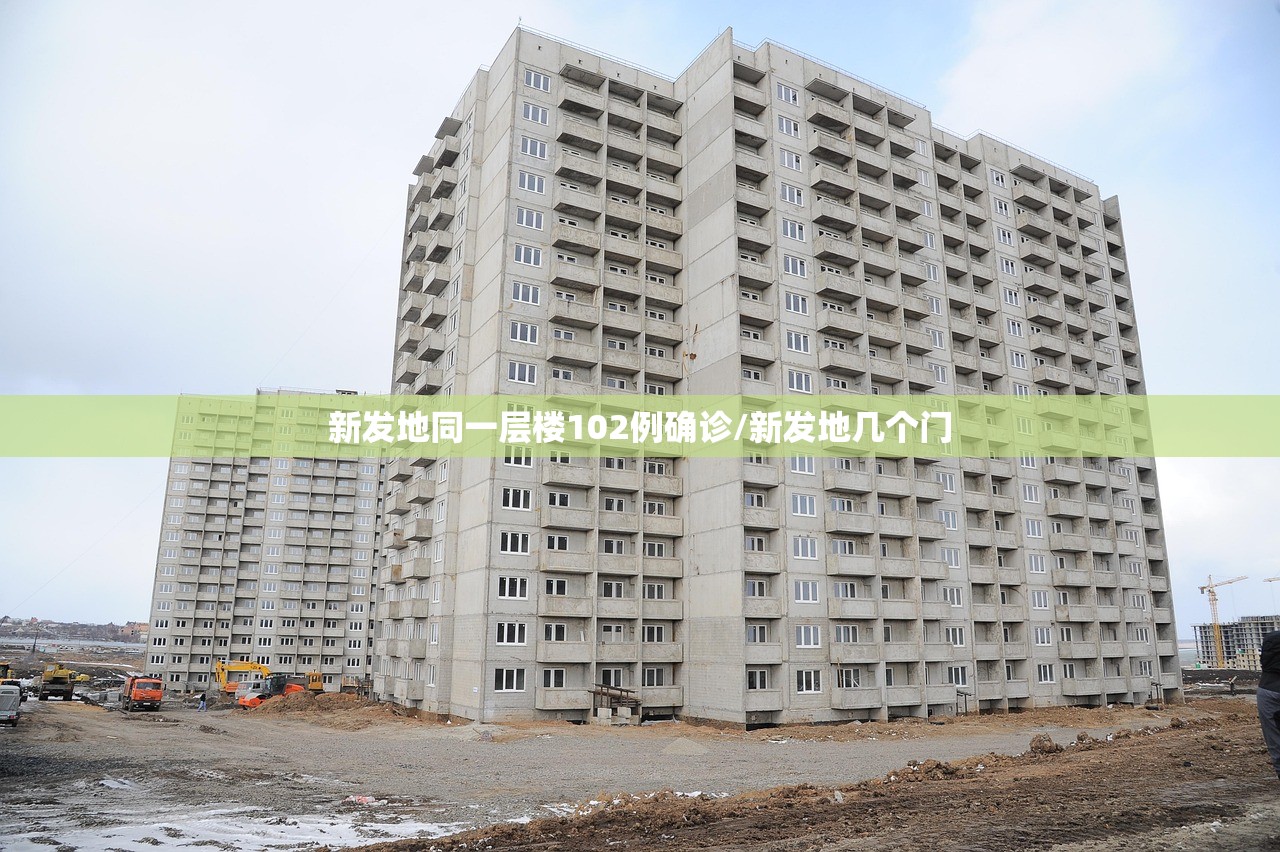 分享实测辅助“新海贝可以开挂吗”细辅助教程分享