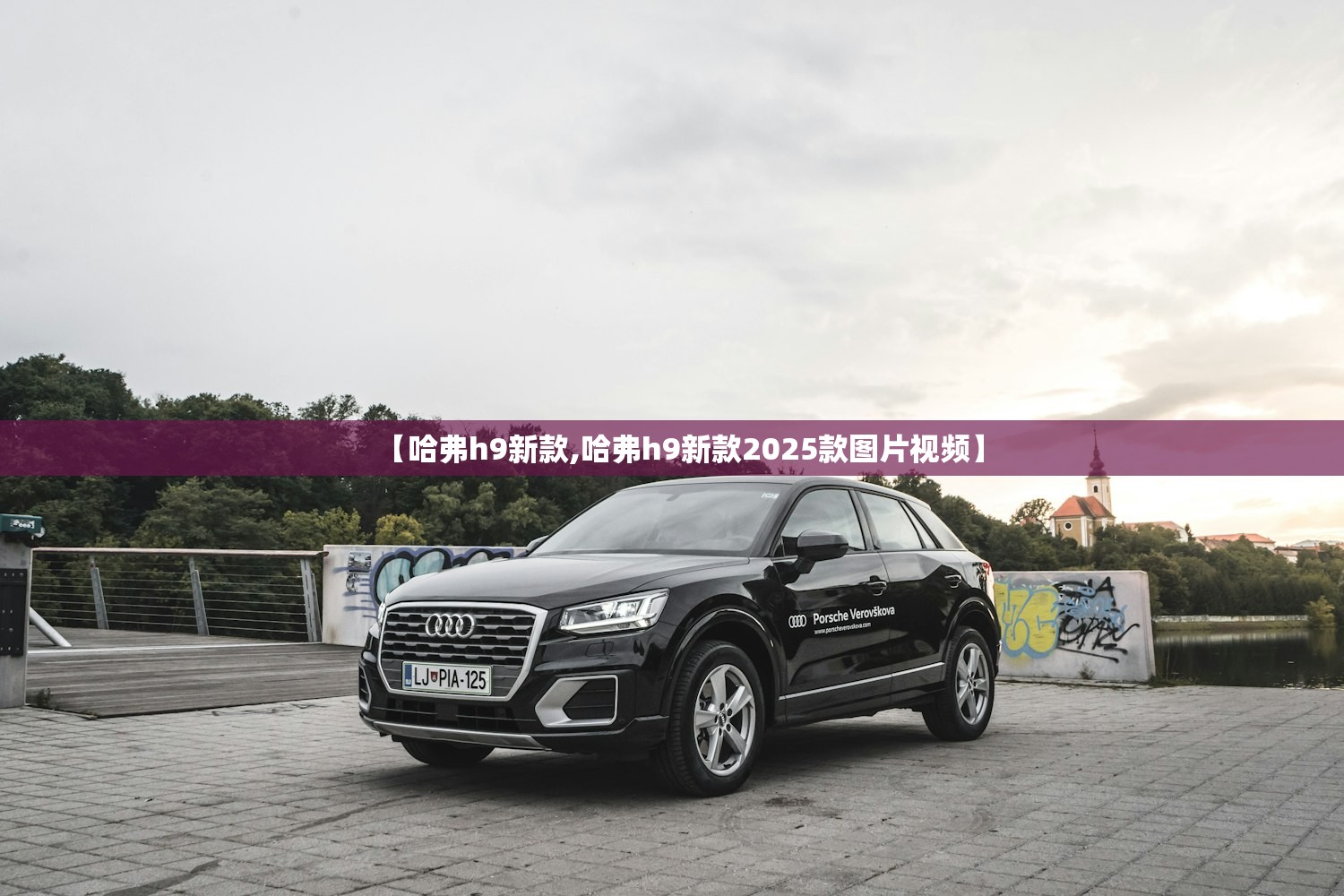 【哈弗h9新款,哈弗h9新款2025款图片视频】
