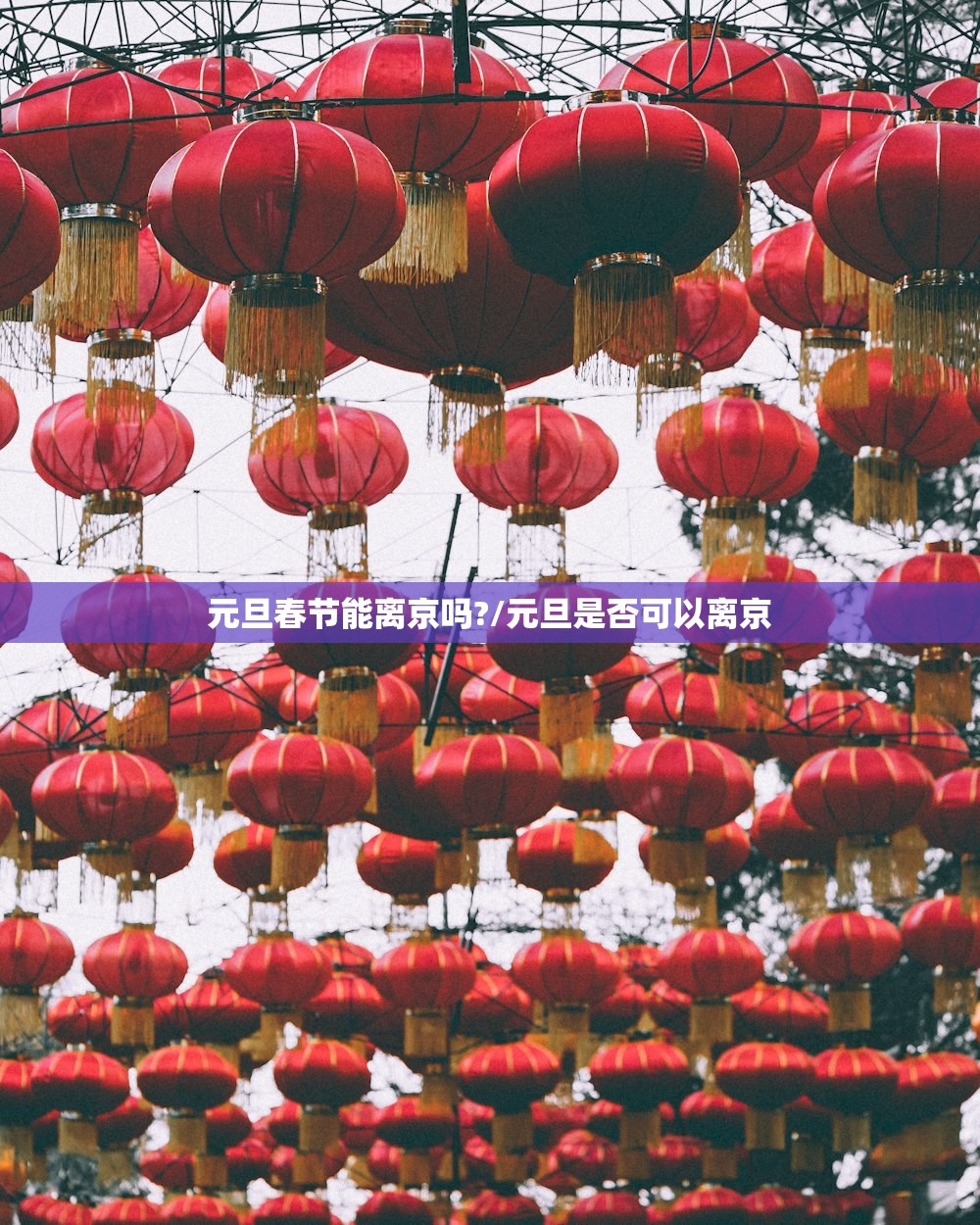 元旦春节能离京吗?/元旦是否可以离京