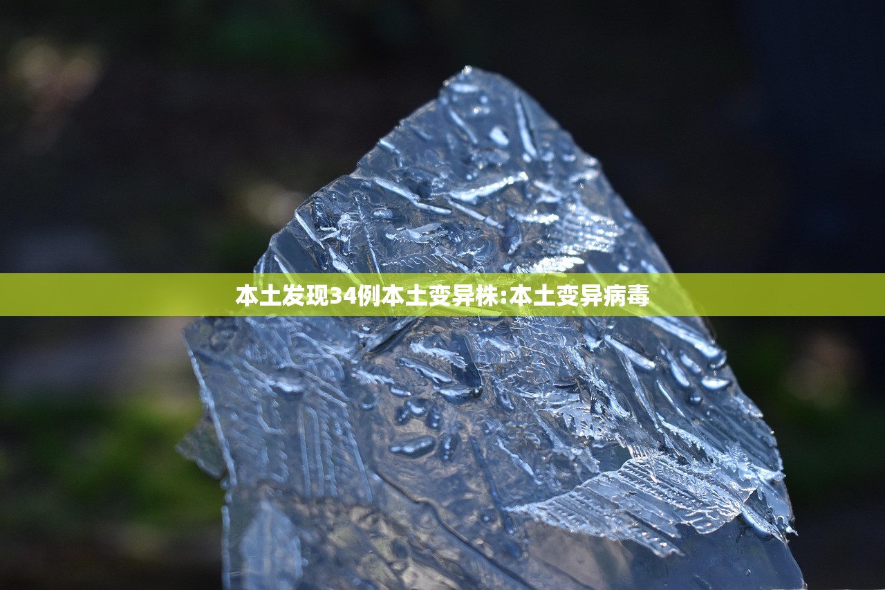 本土发现34例本土变异株:本土变异病毒
